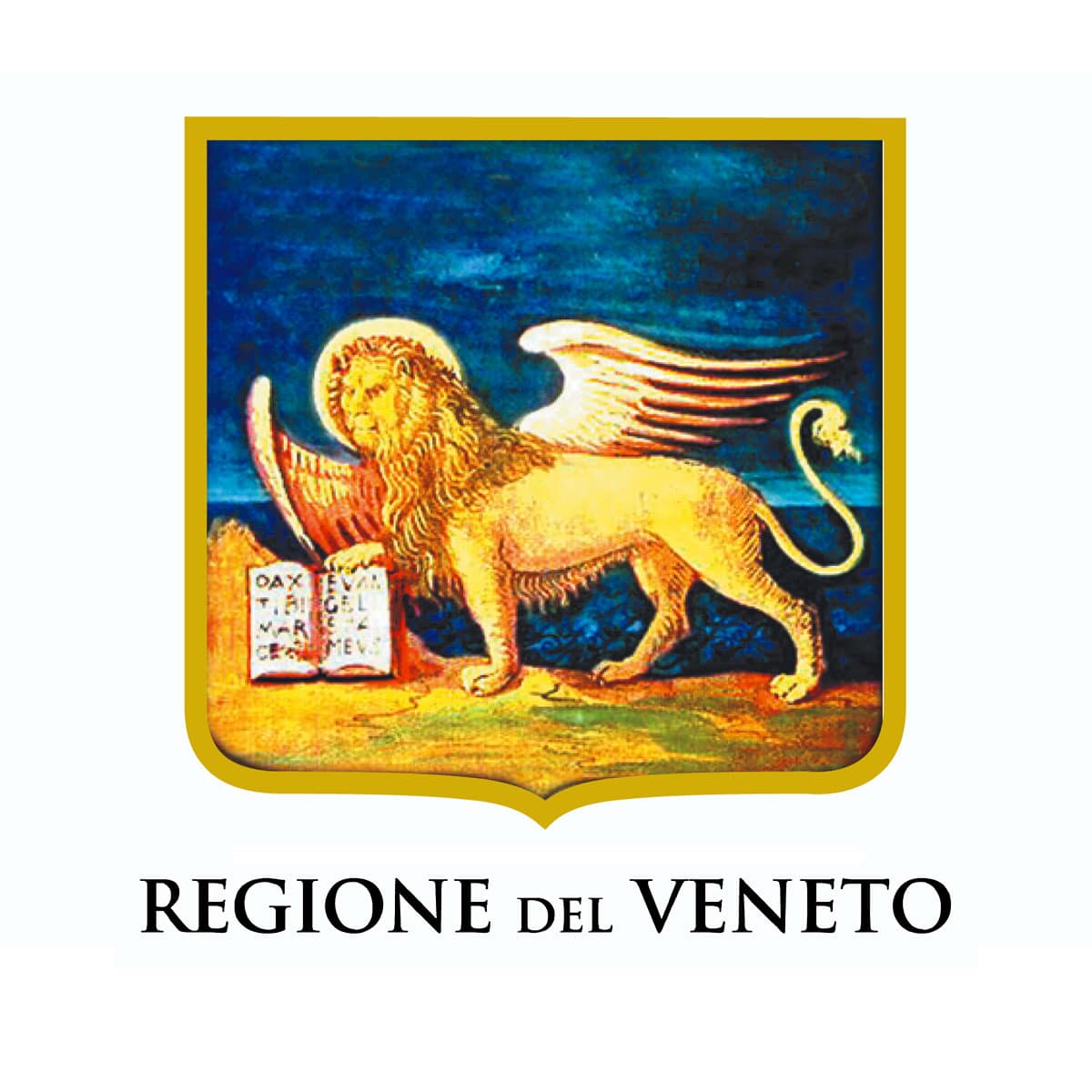 immagine per articolo regione del veneto