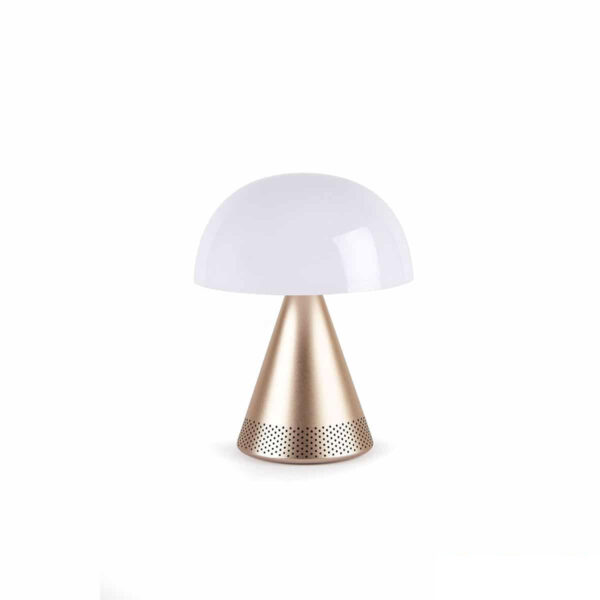 lampada led oro con speaker bluetooth personalizzata