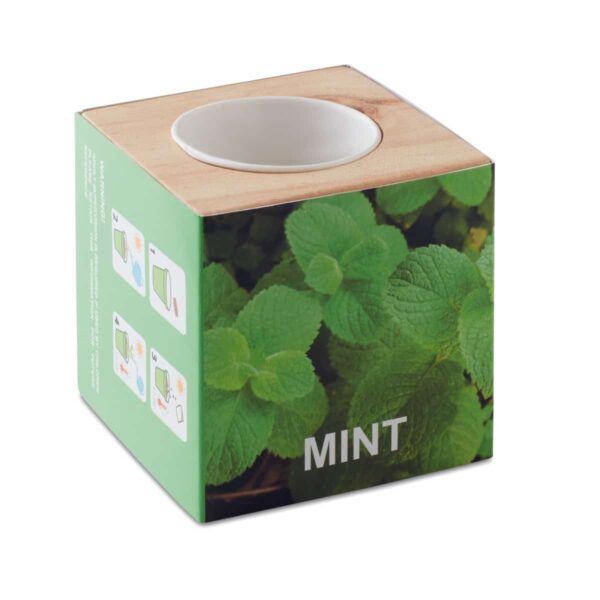 Vaso in legno con semi di menta e tavoletta di terra