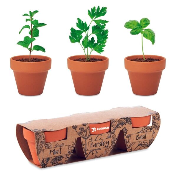 Set tre vasi in terracotta con semi di erbe aromatiche